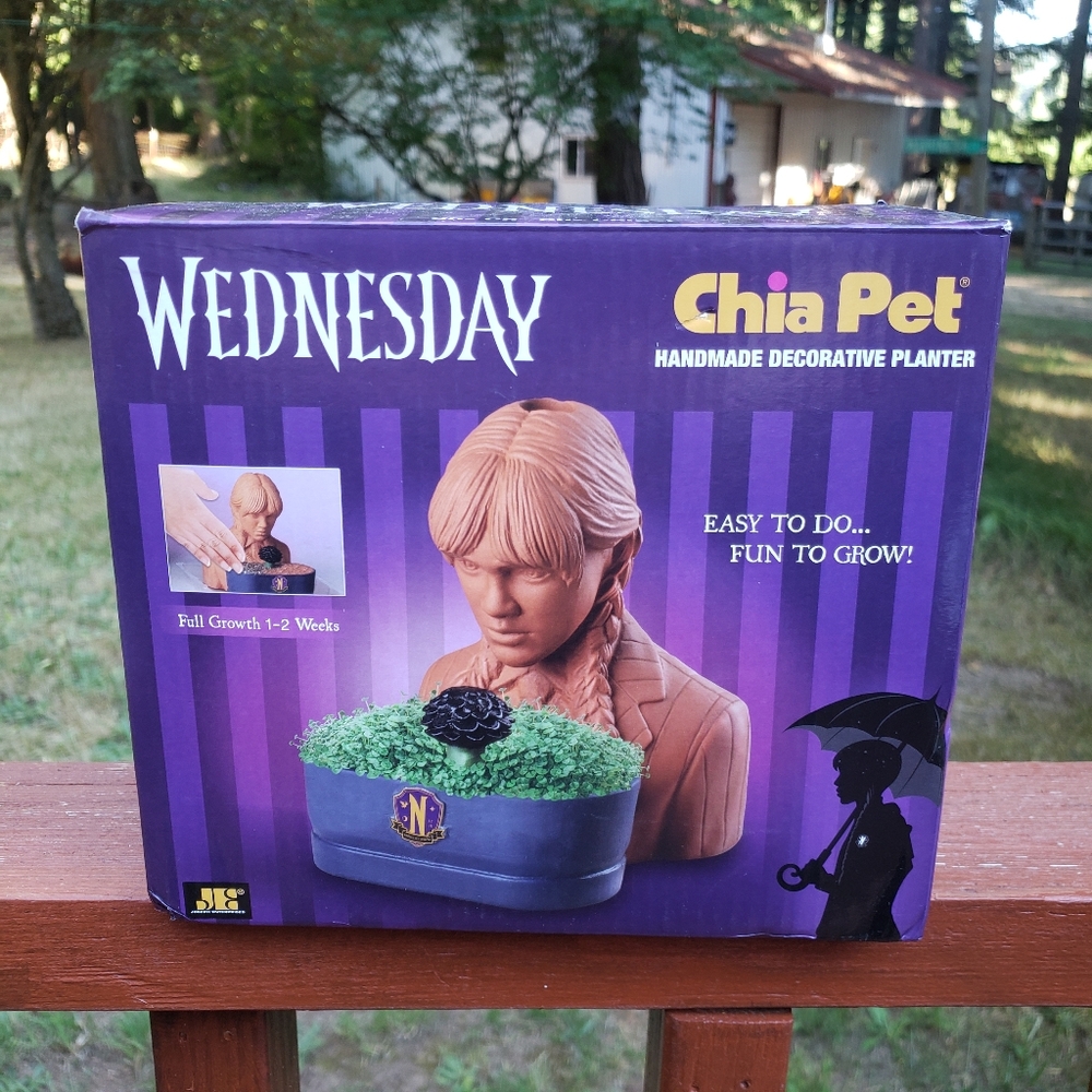 Unused and New In Box WEDNESDAY Addams Chia Pet Handmade Decorative Planter